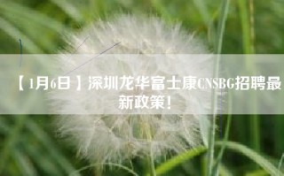 【1月6日】深圳<strong>龙华富士康cn</strong>SBG招聘最新政策！